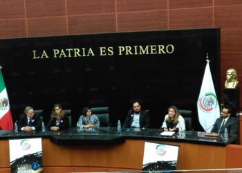 3 abril moreno mexa senado hidrogeno verde