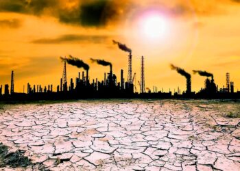 Cambio climático, el mayor riesgo para el mundo en 2024: WEF