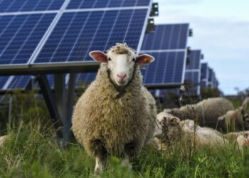 Meta de 35 % de energía limpia se logrará hasta 2026, prevén analistas