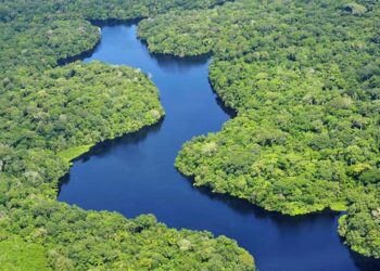 Más Amazonias para el mundo