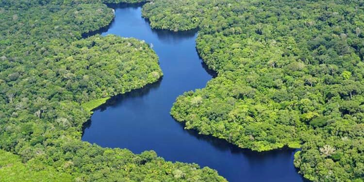 Más Amazonias para el mundo