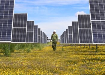 Fundación Iberdrola abre convocatoria de becas para cursar una maestría en España