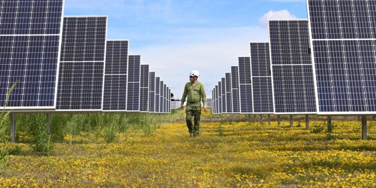 Fundación Iberdrola abre convocatoria de becas para cursar una maestría en España