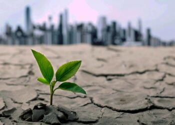 Convocan a jóvenes mexicanos a ser Embajadores en la COP29