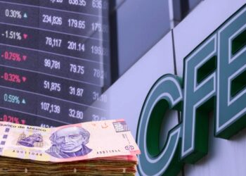 Reciben 269.6 millones de pesos en intereses tenedores de deuda de CFE