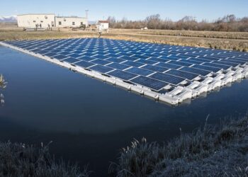 Construirá CFE una Central Solar Flotante de 120 MW