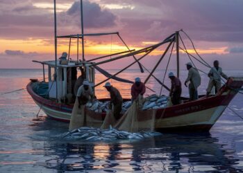 Sanciona Cofece con 3.4 millones de pesos a vendedores de diésel marino en Yucatán
