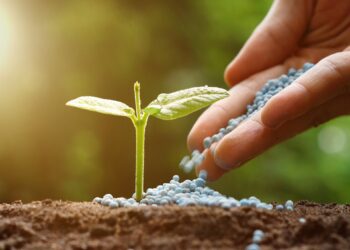 Se integra Duro Felguera al proyecto de la planta de fertilizantes en Escolín