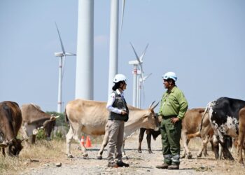 Exhiben Iberdrola México y Cultura CDMX muestra fotográfica sobre energía limpia