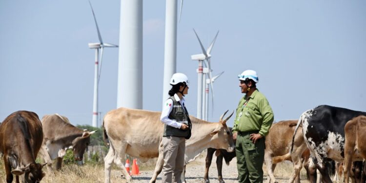Exhiben Iberdrola México y Cultura CDMX muestra fotográfica sobre energía limpia