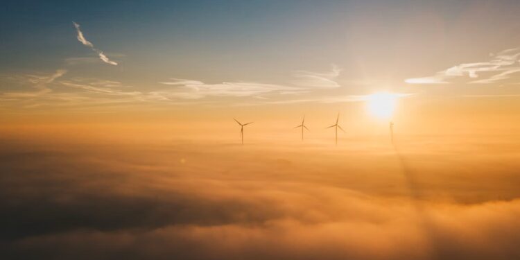 Podrían renovables satisfacer casi la mitad de la demanda de energía para 2030: AIE