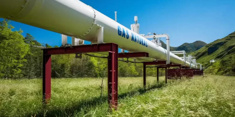 Aprueba CRE participación cruzada a permisionarios de gas natural