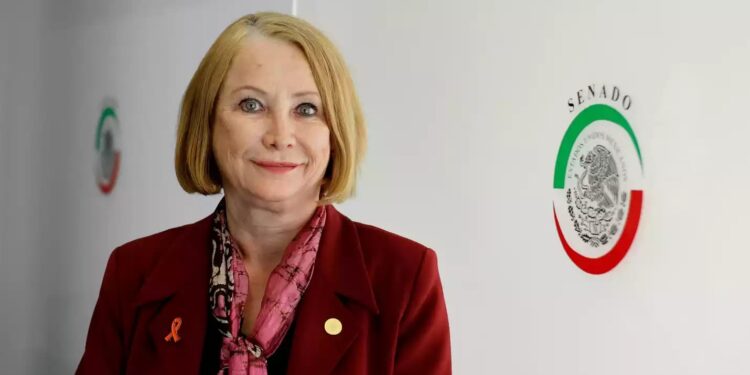 Inversiones privadas sí, pero con rectoría del Estado, como lo establecen las disposiciones Constitucionales: Sen. Laura Itzel Castillo