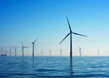 Trump encarga redactar orden ejecutiva para detener energía eólica marina