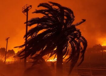 Sempra y Fundación Sempra prometen 1 millón de dls para damnificados de incendios en California