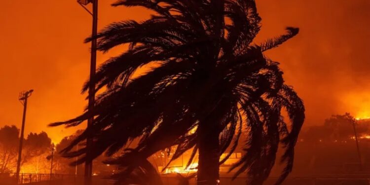 Sempra y Fundación Sempra prometen 1 millón de dls para damnificados de incendios en California