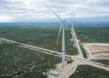 Ordena Inai a la CRE complementar información sobre parques eólicos en Oaxaca