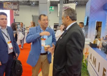 Podría gobierno anunciar este año nuevos proyectos eléctricos con inversión mixta: Islas Samperio