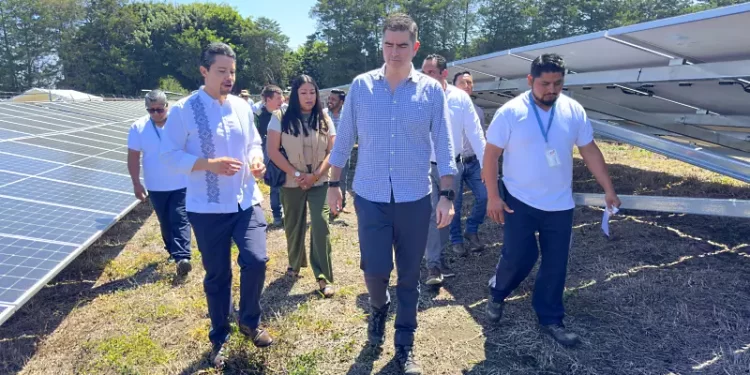 Avanzan Iberdrola México y Bayer en su alianza por la sostenibilidad con un sistema fotovoltaico en Chiapas