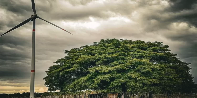 Convoca AMDEE a la sexta edición del reto fotográfico “Mi vida y el viento”