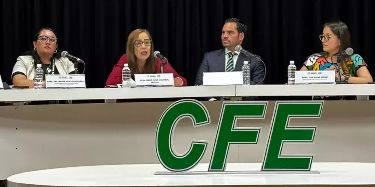 Buscan CFE y Caname aumentar contenido nacional en el sector eléctrico