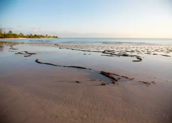 Atiende Pemex fuga de crudo en Puerto de Dos Bocas