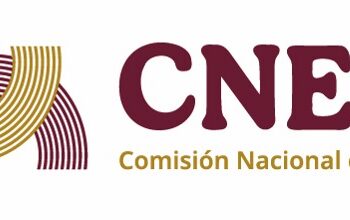 Designan a expertos de la CNE