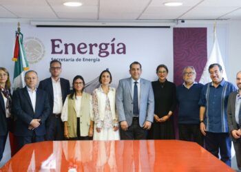 Designan a expertos de la CNE