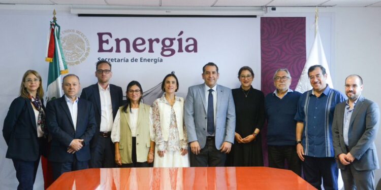 Designan a expertos de la CNE