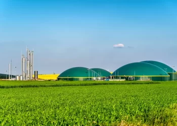Expone la IEA retos para el biogás y el biometano a nivel mundial