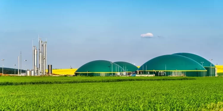 Expone la IEA retos para el biogás y el biometano a nivel mundial