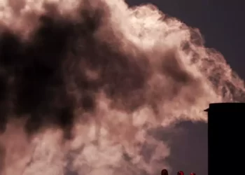 Acapara sector eléctrico la mitad del mercado del carbono a nivel global: Banco Mundial