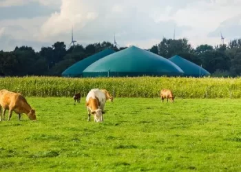 Destaca AMGN al biometano como aliado del gas natural