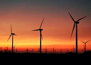 Certeza jurídica en sector energético aportaría hasta 5 GW eólicos: AMDEE