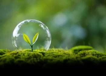 Inacción climática, una violación al Derecho Internacional, resolvió la Corte Internacional de Justicia