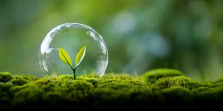 Inacción climática, una violación al Derecho Internacional, resolvió la Corte Internacional de Justicia