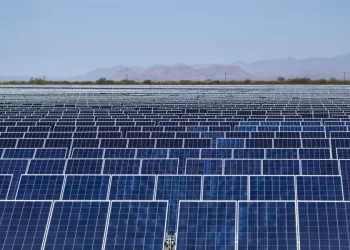 Seraphim y SPIC-Zuma Energía inician reemplazo de paneles solares en dos parques fotovoltaicos