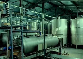 Eficiencia Energética: Un pilar estratégico para la sostenibilidad