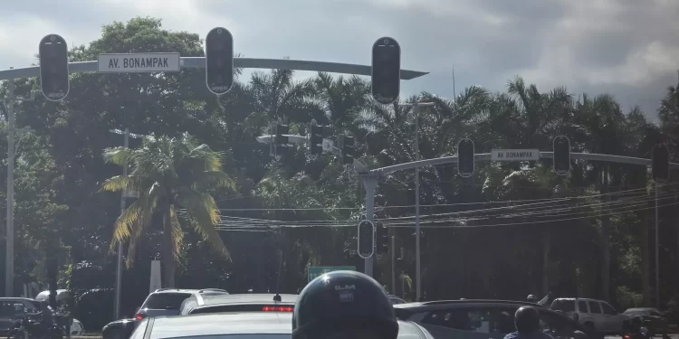 (Foto: @Pagina_Nueve en x.com)