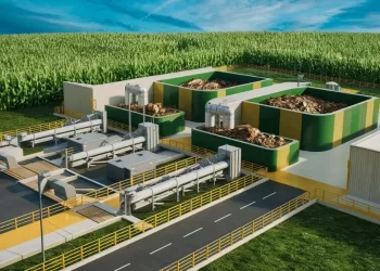 Tamaulipas busca impulsar la producción de biocombustibles