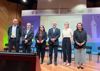 Bimbo, Heineken y Amazon harán pruebas piloto de la red de carga de VEMO