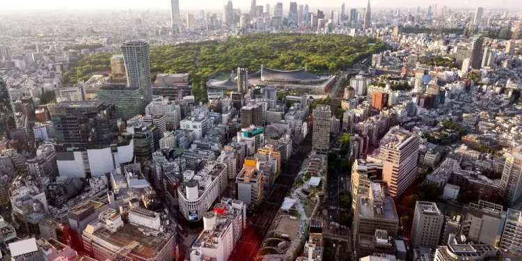 Analizarán ICM y la Embajada de Alemania requerimientos de financiamiento de cara a la COP30