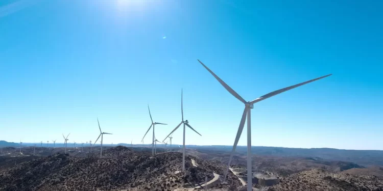 Renovables se duplicarán a nivel mundial para 2030: IEA