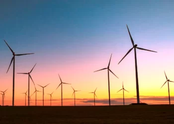 Intereses políticos e ideológicos están detrás de quejas contra reforma energética de México: Sheinbaum