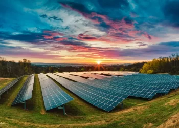 Aumentaron 20 % inversiones globales en transición energética: IRENA