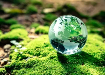 Salud, seguridad y medio ambiente: Pilar de liderazgo para proteger y transformar