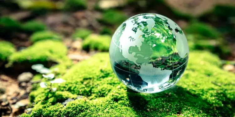 Salud, seguridad y medio ambiente: Pilar de liderazgo para proteger y transformar