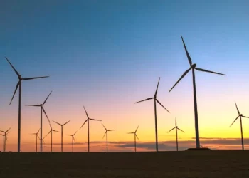 Davos: China defiende energía eólica ante críticas de Trump