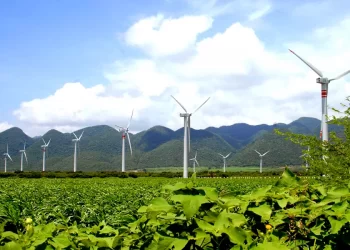 Juez ordena a Sener cumplir con metas de energías limpias tras omisión en 2024