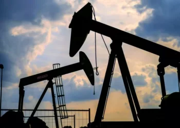 Confirma Slim contrato mixto con Pemex para campo Macavil